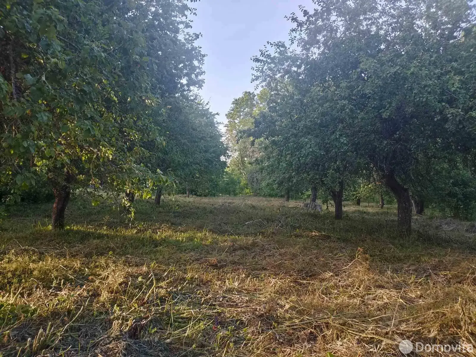 участок, Городище, 