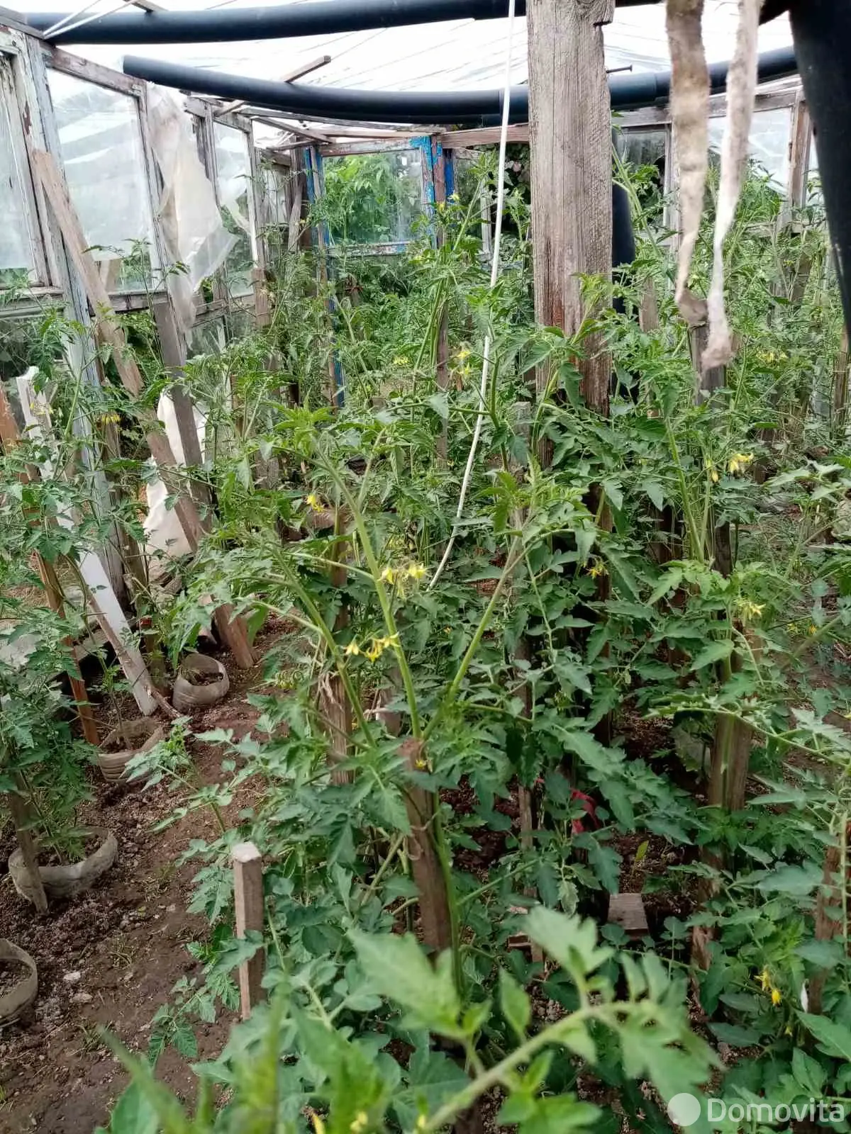 Стоимость продажи участка, Орша, пер. Климента Тимирязева