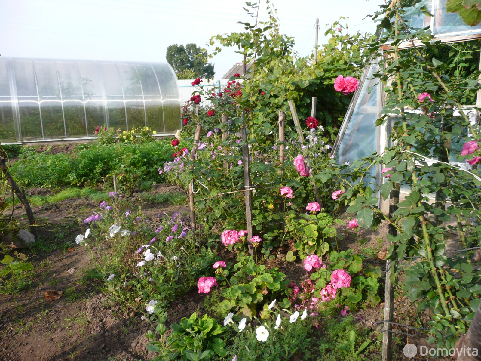 дом, Стаи, ул. Лепельская - лучшее предложение