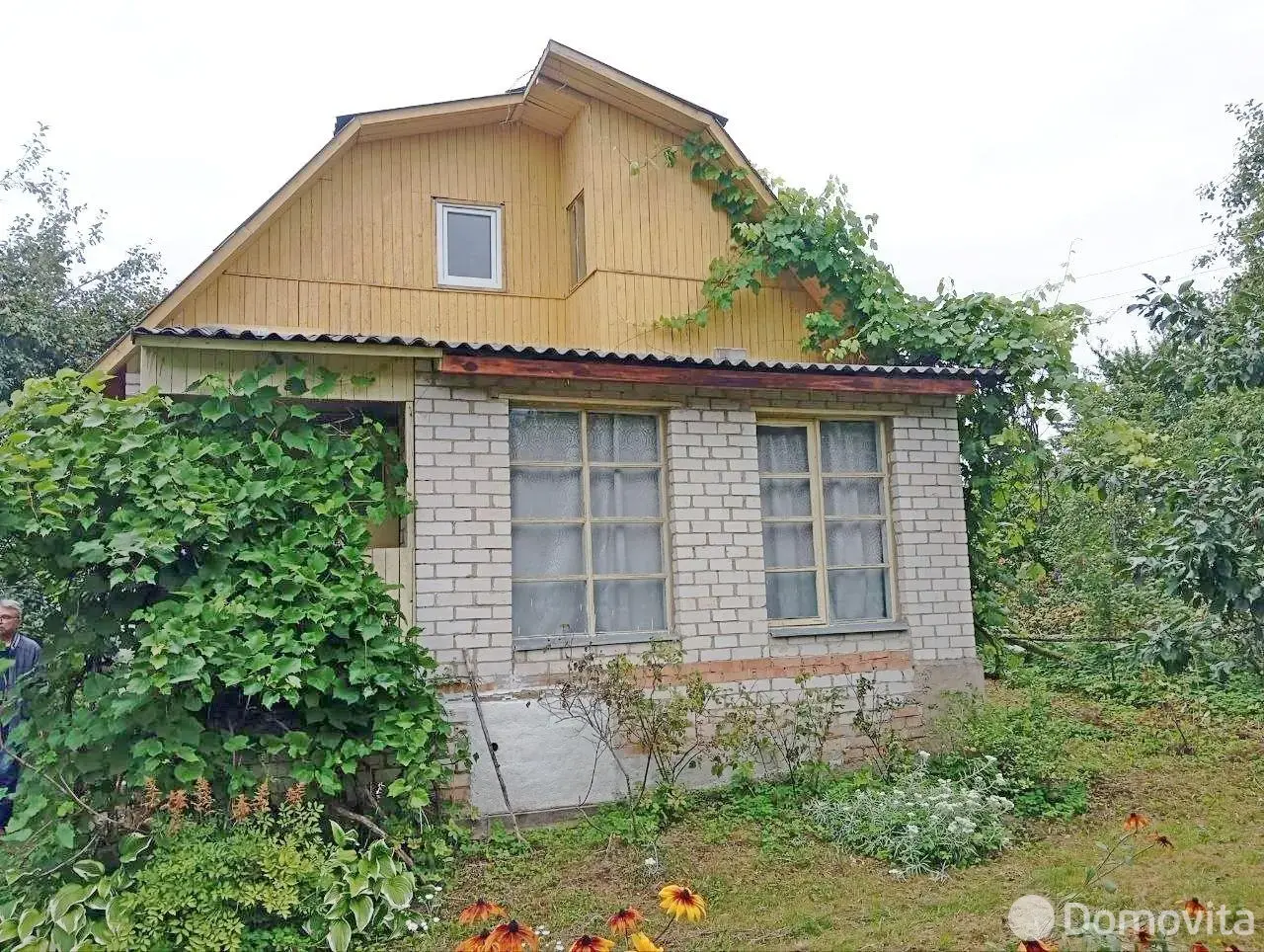 дача, Шарик, д. 590 