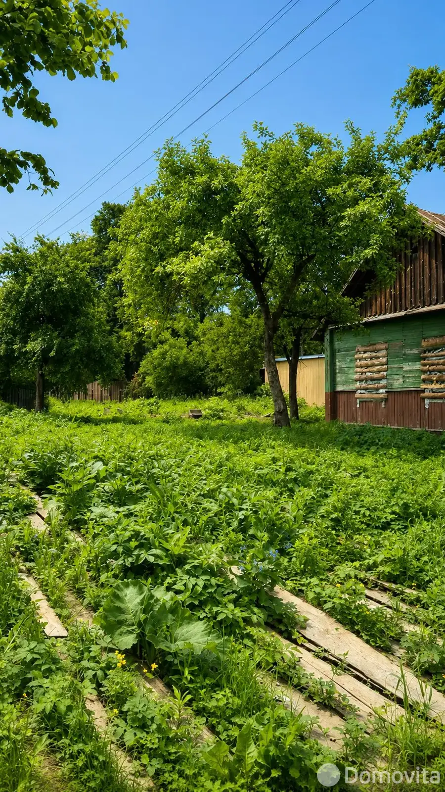 Купить земельный участок, 24 сотки, Новый Двор, Минская область, 92000USD, код 572091 - фото 11
