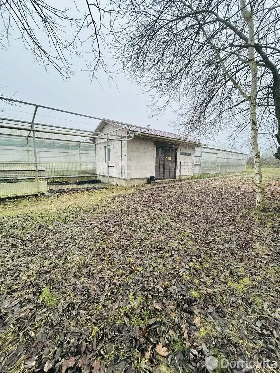 Купить земельный участок, 39.11 соток, Закаблуки, Минская область, 64000USD, код 571333 - фото 14