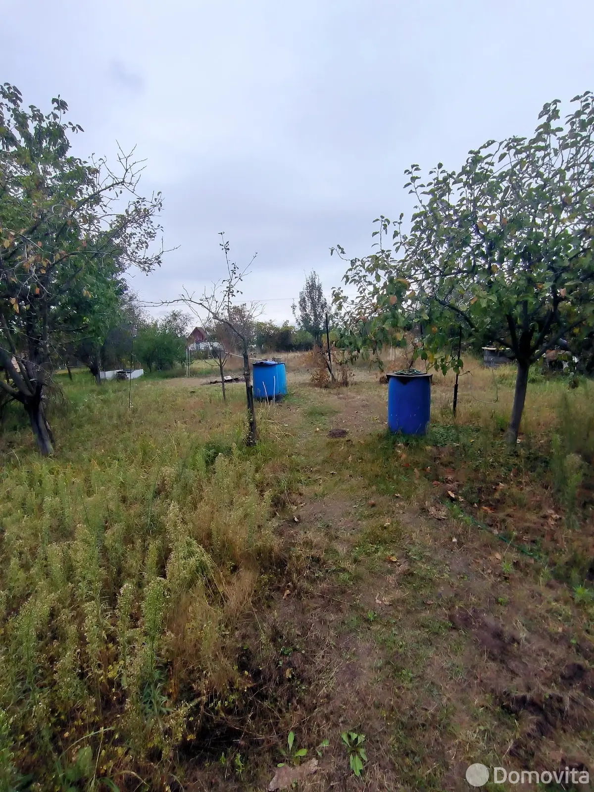 Цена продажи дачи, Особино, д. 166