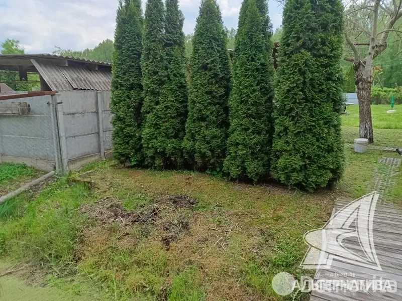 Купить земельный участок, 6.97 соток, Журавинка-83, Брестская область, 11500USD, код 570456 - фото 17