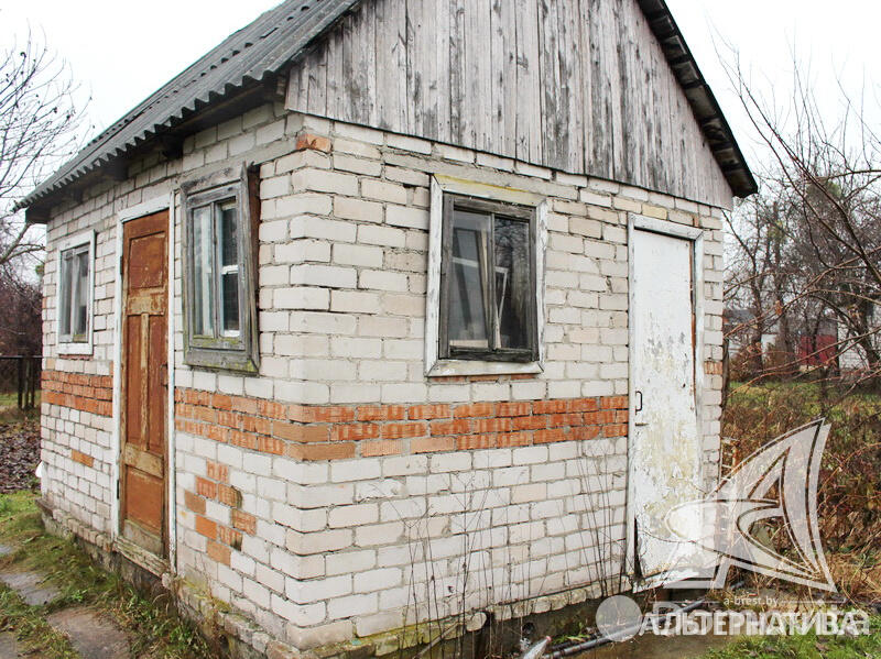 Купить 1-этажную дачу в Наш Восход Брестская область, 19000USD, код 162114 - фото 13