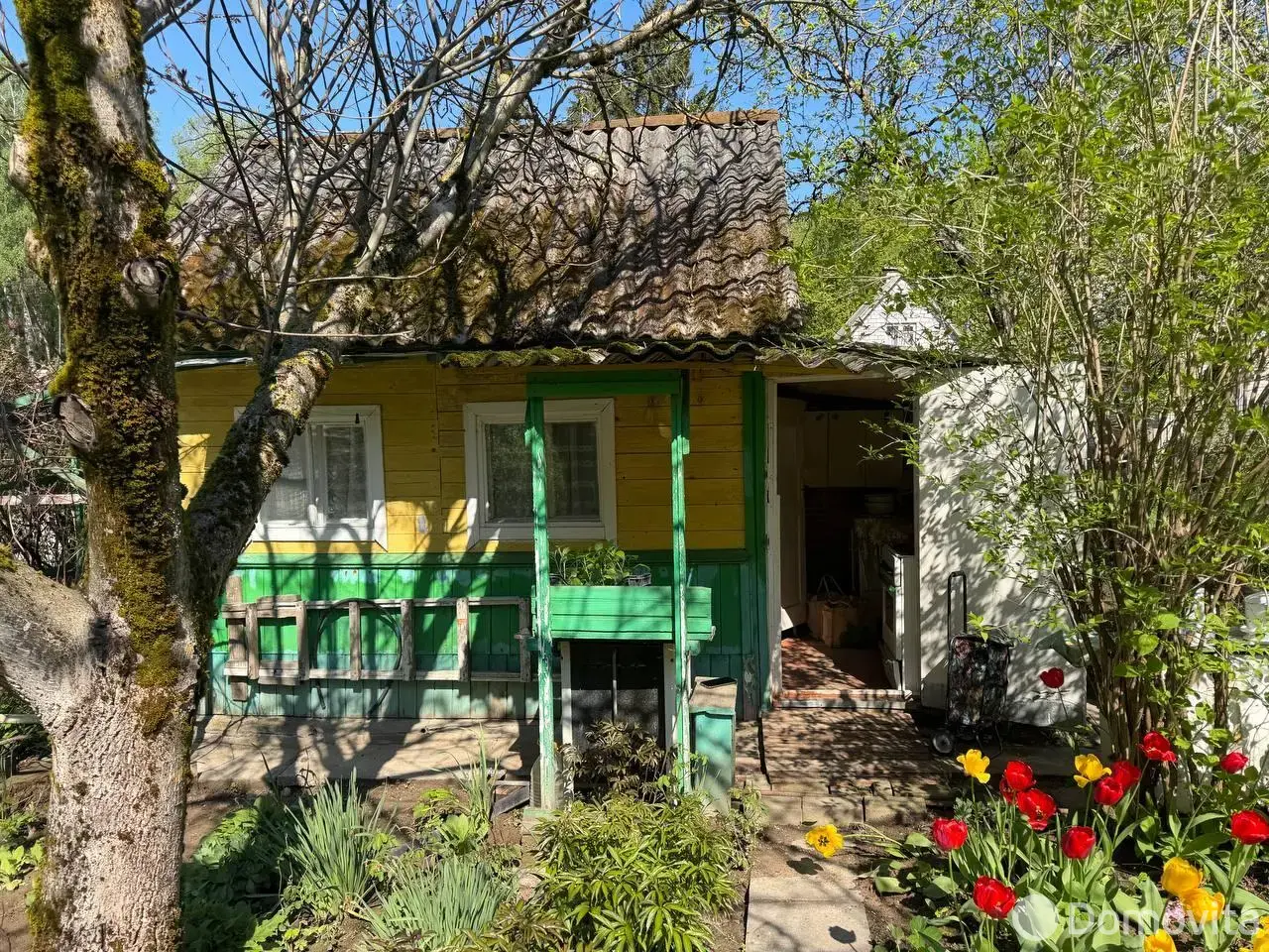 Купить 1-этажную дачу в Пралесках Минская область, 9000USD, код 186087 - фото 12