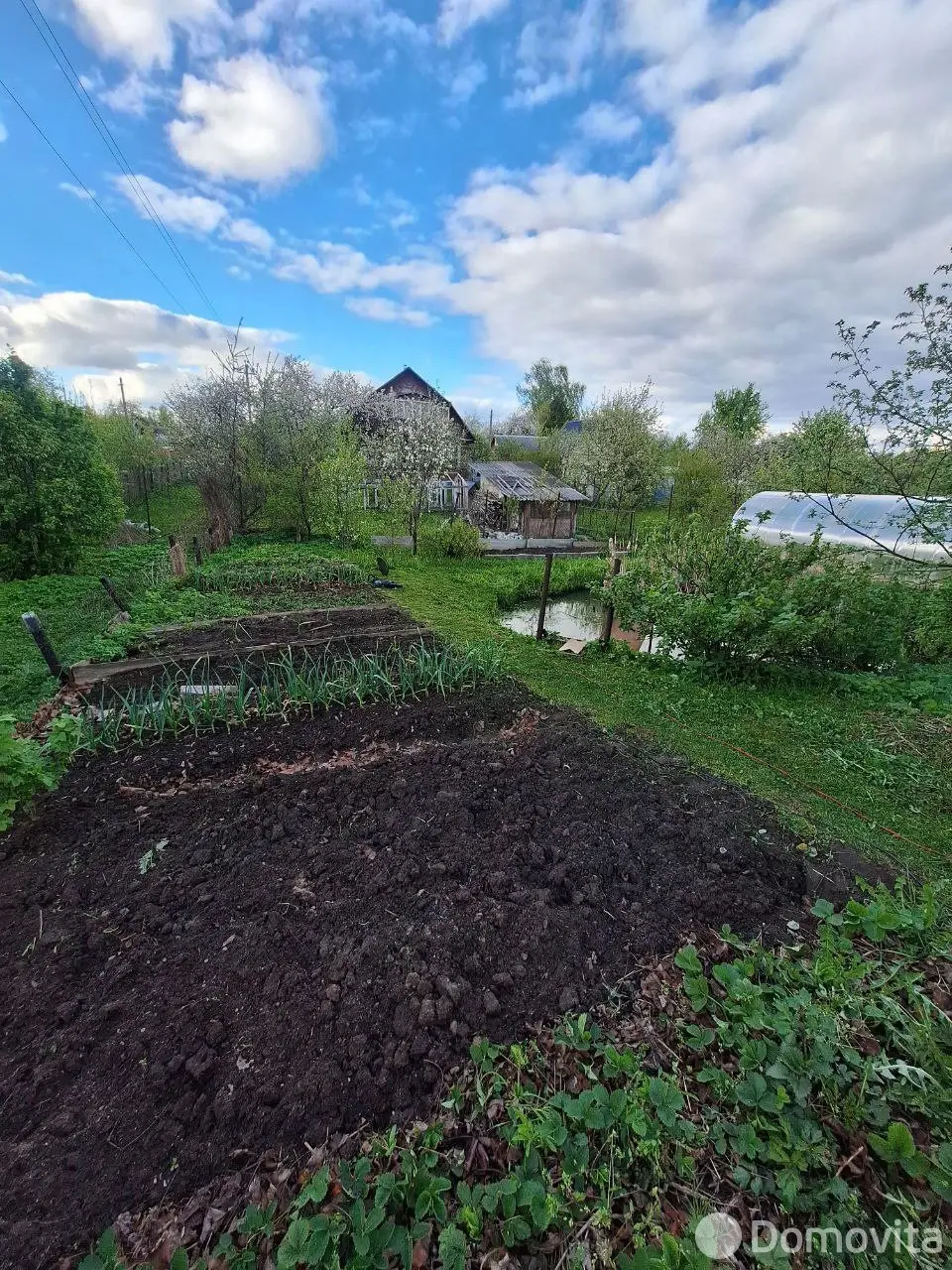 дом, Витебск, ул. 1-я Маленькая
