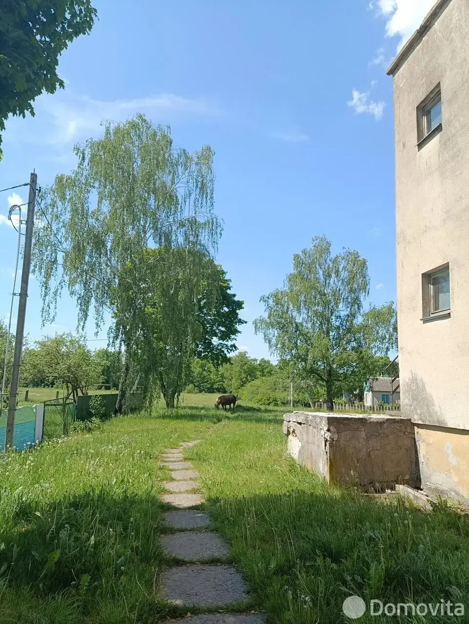 Купить офис на ул. Школьная в Подберези, 47172BYN, код 7410 - фото 11
