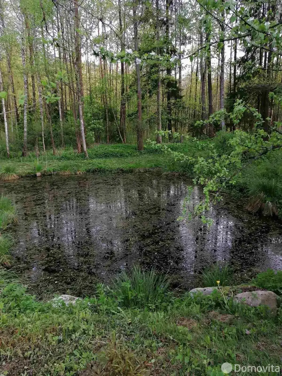 дача, Верас-93, 