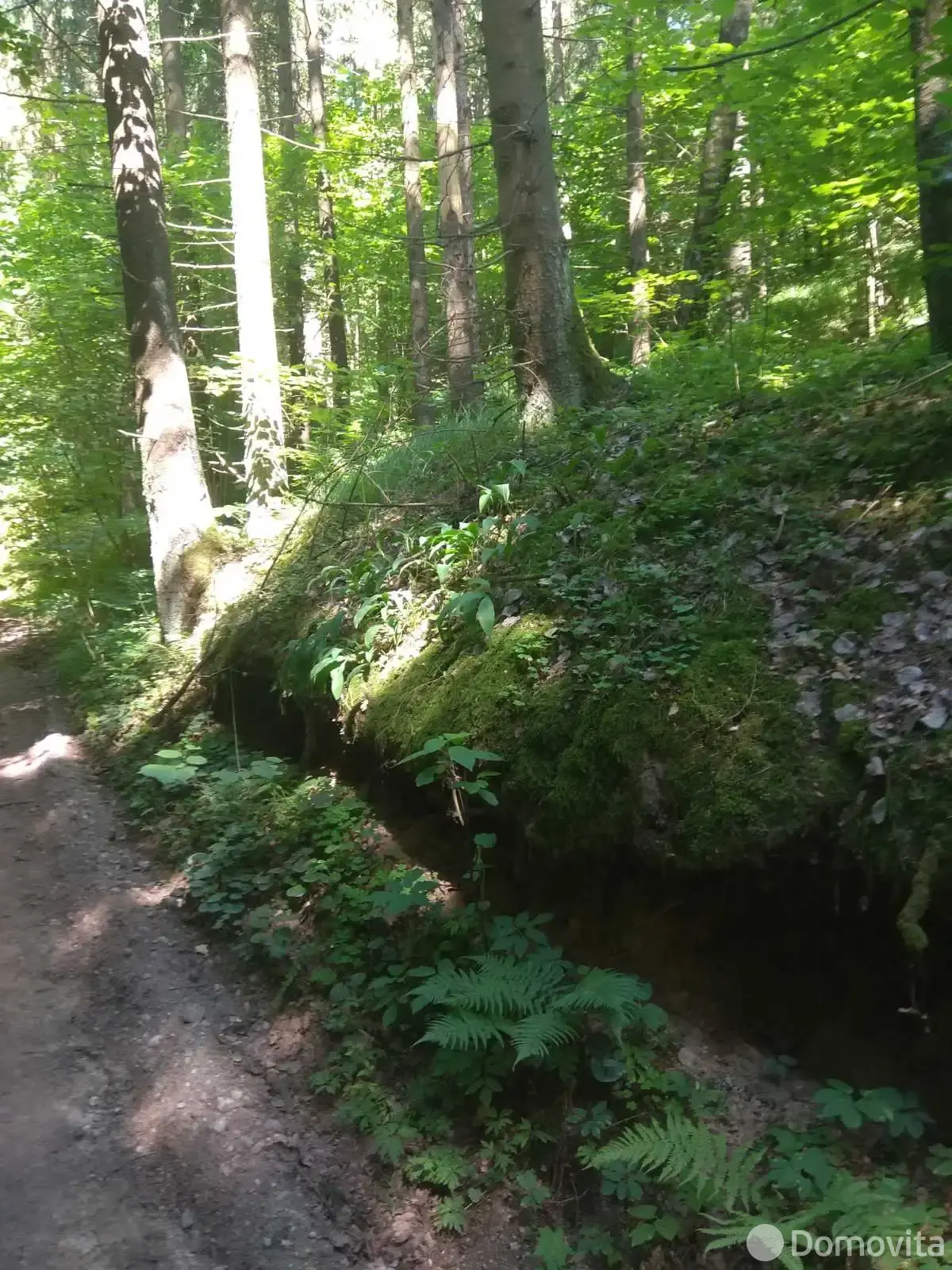 Купить 2-этажную дачу в Лада Могилевская область, 54000BYN, код 185046 - фото 18