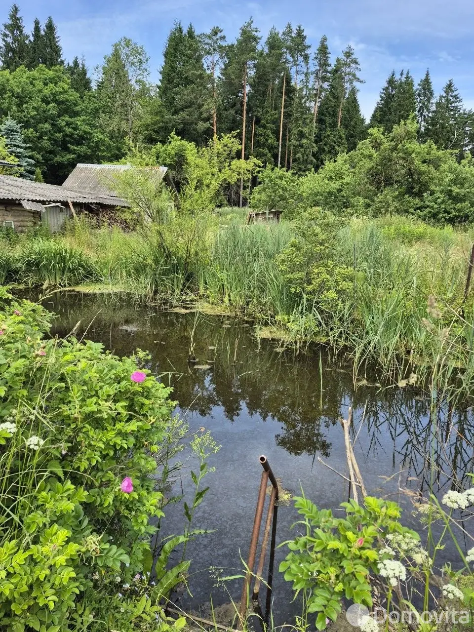 Продажа 2-этажной дачи в Витебске Витебская область, 39000BYN, код 186562 - фото 18