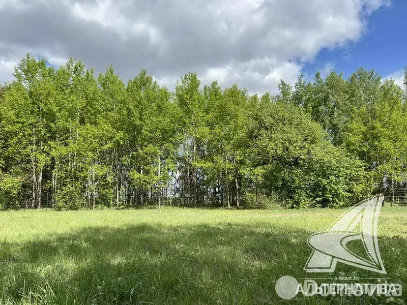 дом, Малые Зводы, 