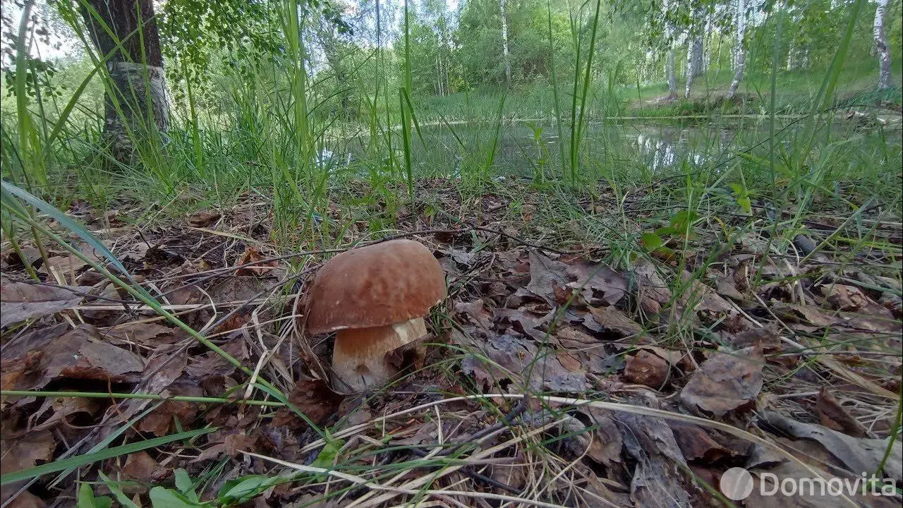 участок, Чуденичи, пер. Полевой, д. 3 