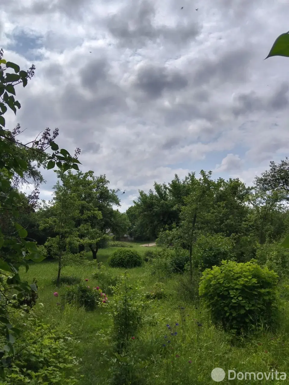 участок, Ольгово, ул. Южная, д. 5