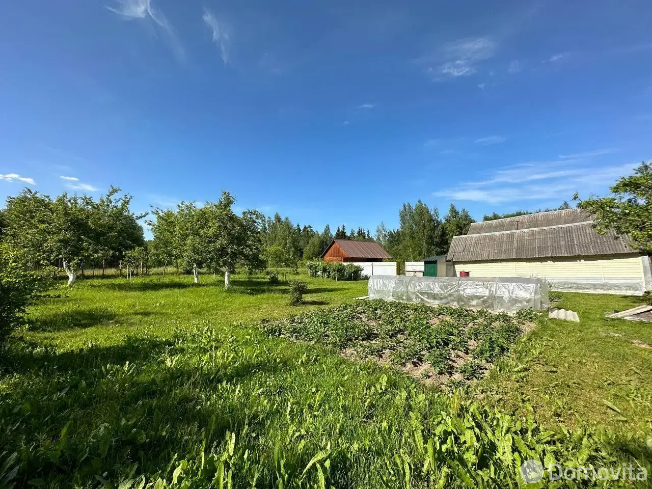 Купить 1-этажную дачу в Левковщиной Могилевская область, 16500USD, код 182132 - фото 22