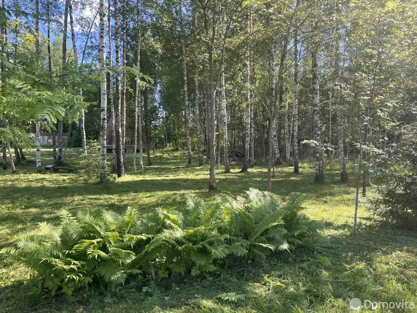 участок, Каменка, ул. Центральная, д. 20 