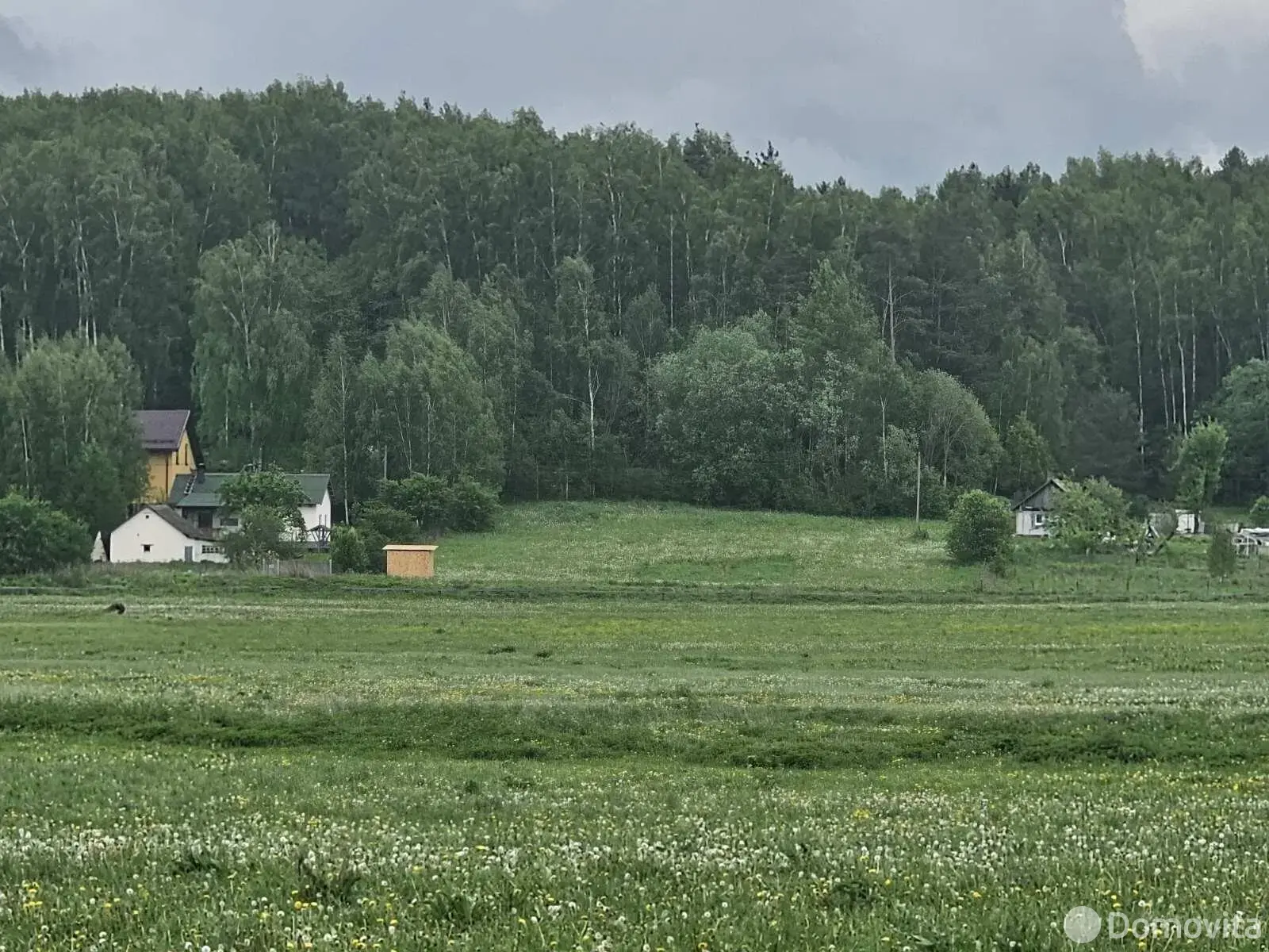 участок, Ляховщина, 