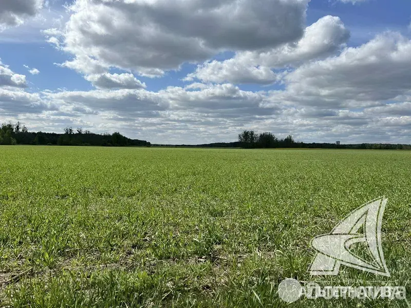 дом, Малые Зводы, 