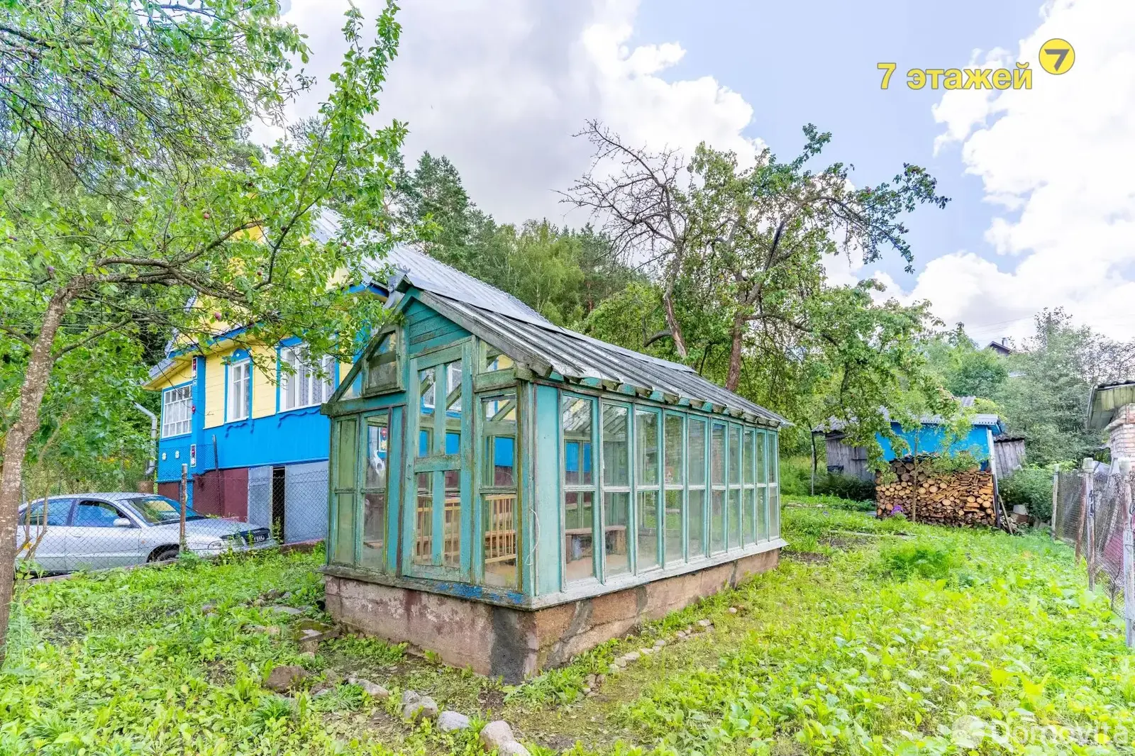 дача, Ромашка Соломореченская, 