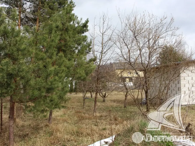 дом, Мухавец, 