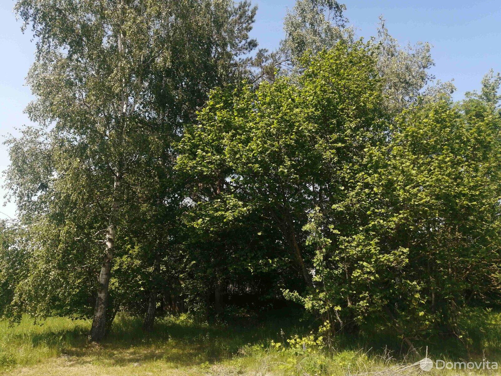 Купить земельный участок, 10.04 соток, Подлесное, Минская область, 5200USD, код 565563 - фото 3