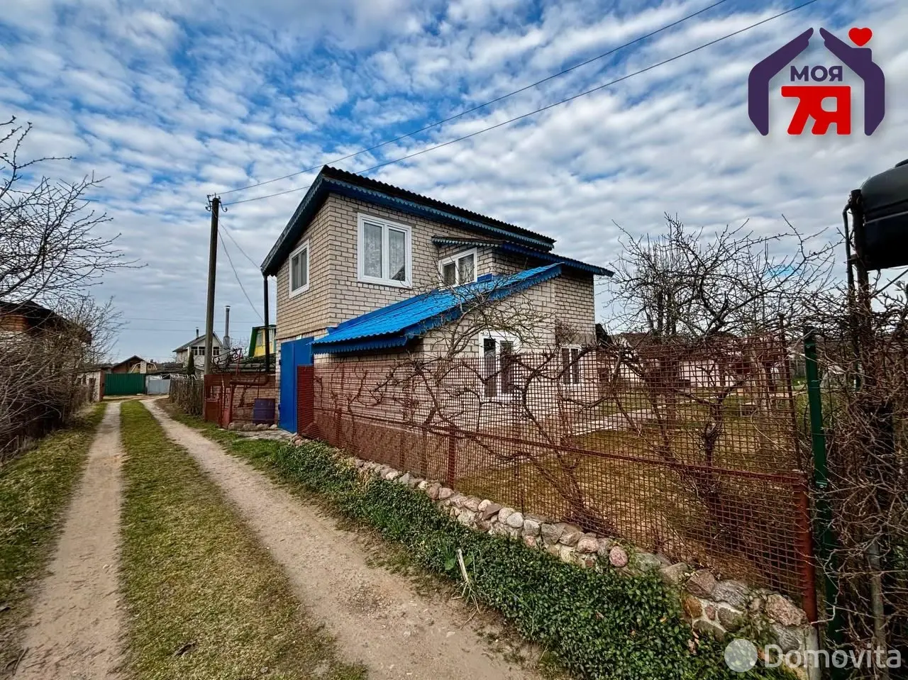 дача, Одуванчик, 