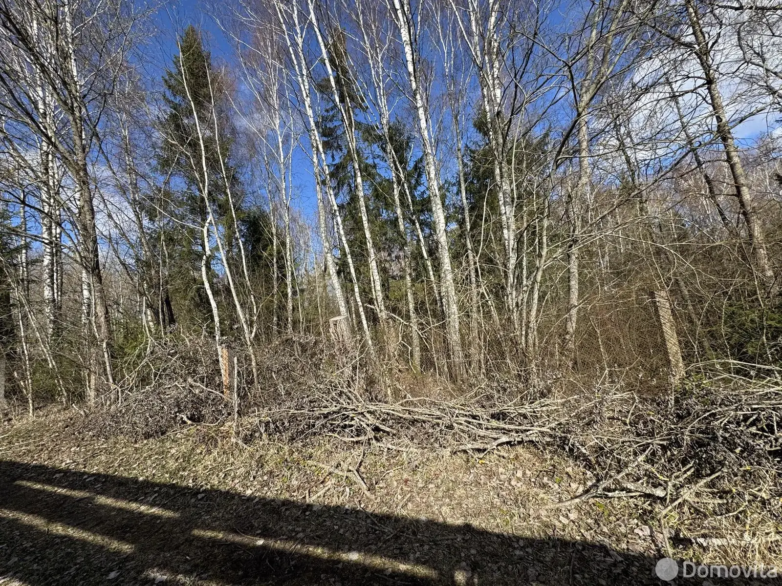 Купить земельный участок, 6 соток, Обувщик-луч, Минская область, 4900USD, код 569973 - фото 11