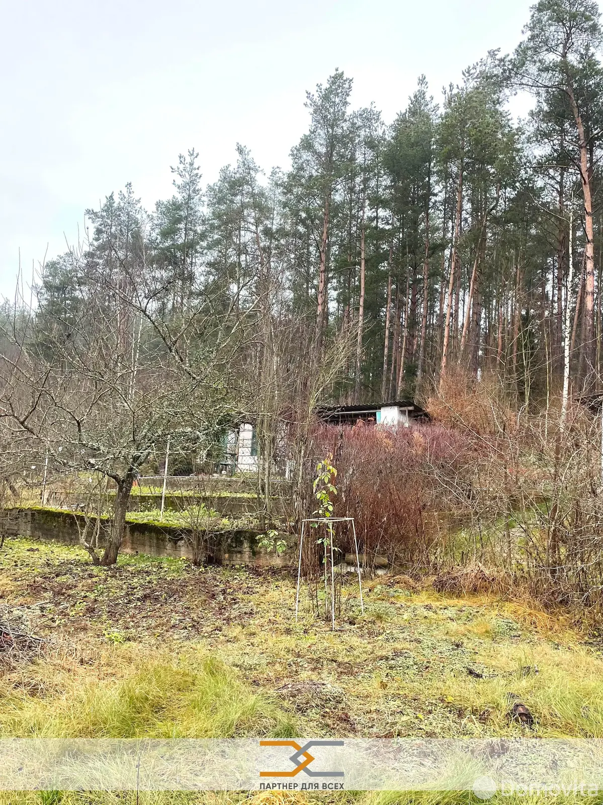 дача, ГОРИЗОНТ-82, 