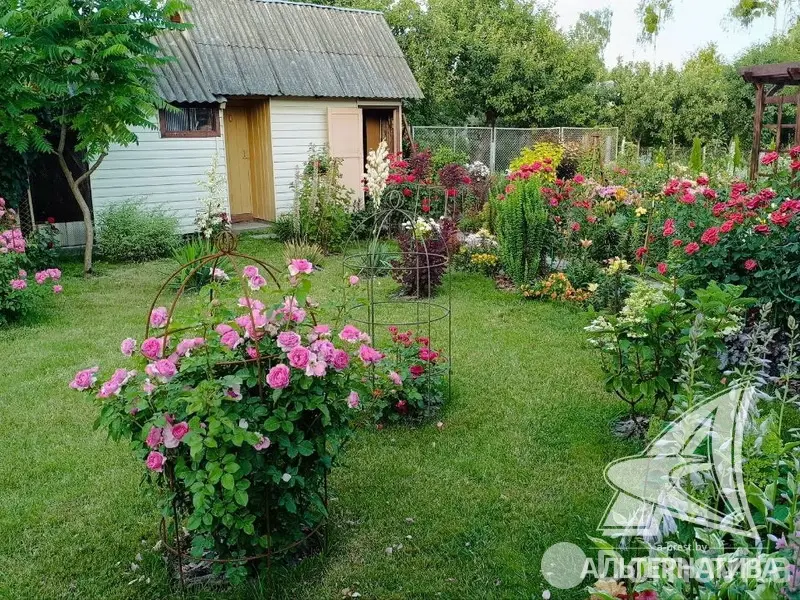 Купить 2-этажную дачу в Радуга-9 Брестская область, 32900USD, код 184502 - фото 40