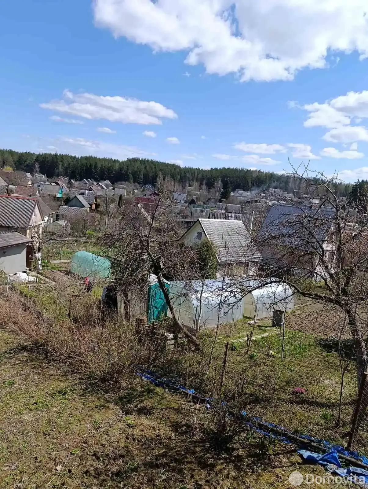 участок, Планета-2001, 