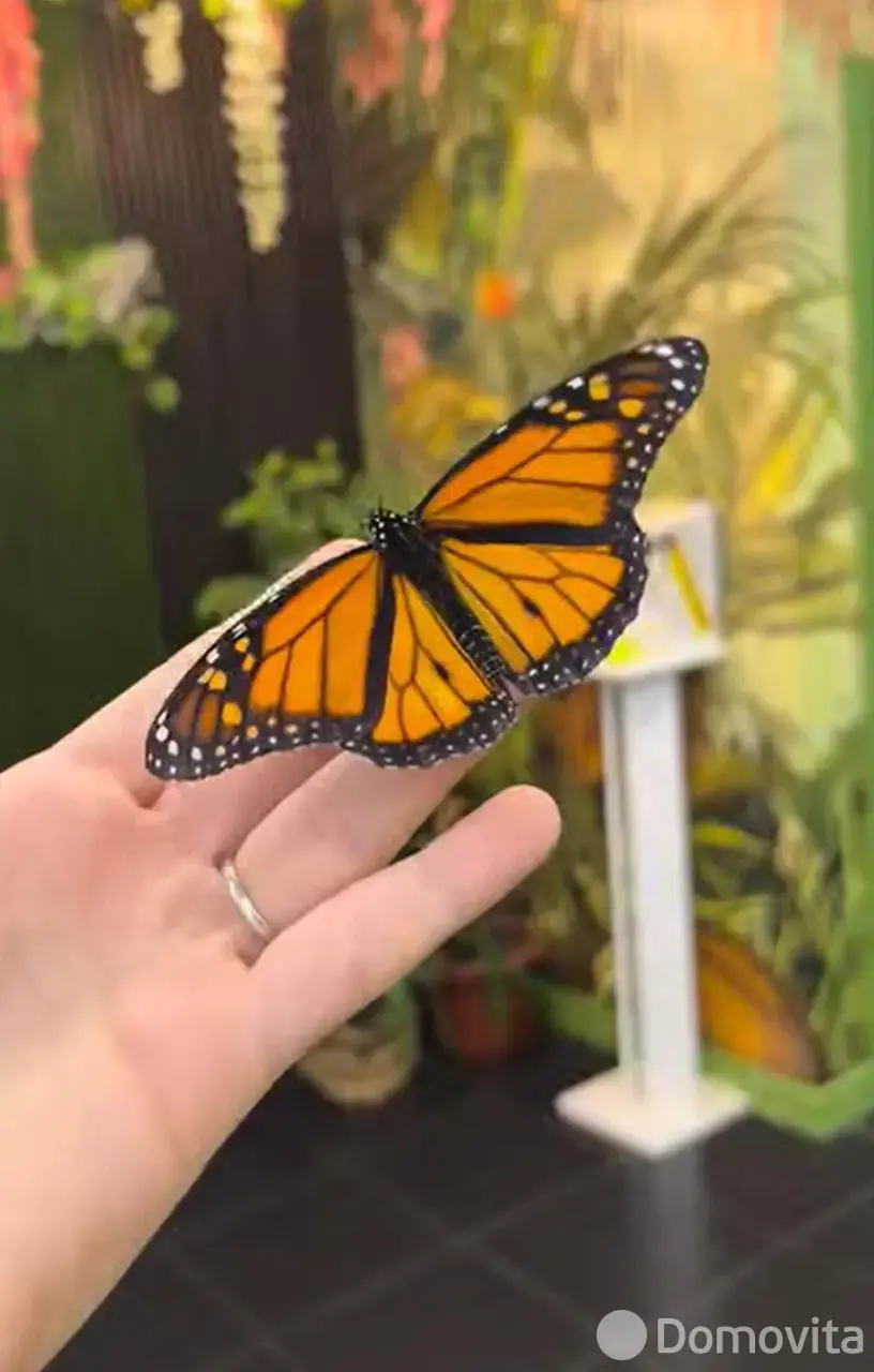 Купить торговое помещение на ул. Кирилла Туровского, д. 16 в Минске, 190000USD, код 998494 - фото 21