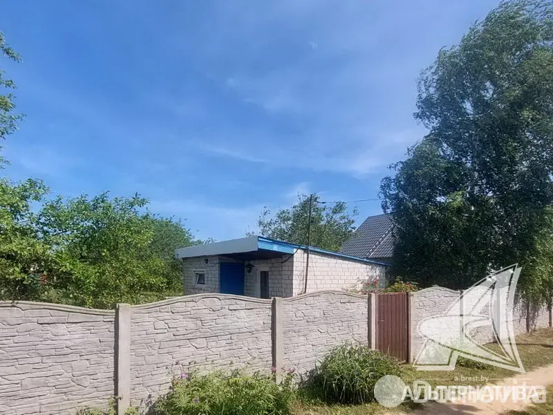 дача, Транспортник-91, 