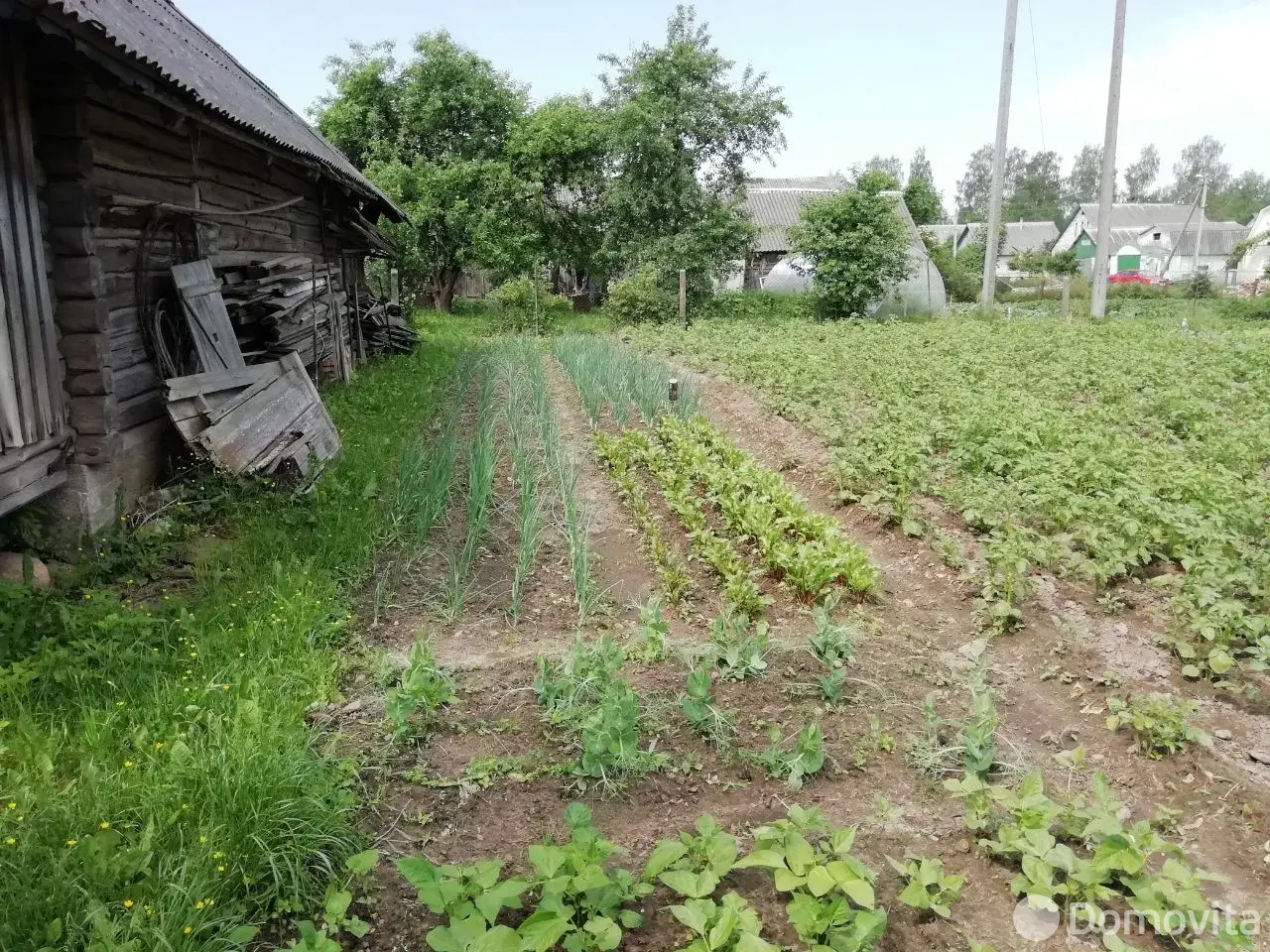 дом, Вилейка, ул. Новосёлов, д. 15