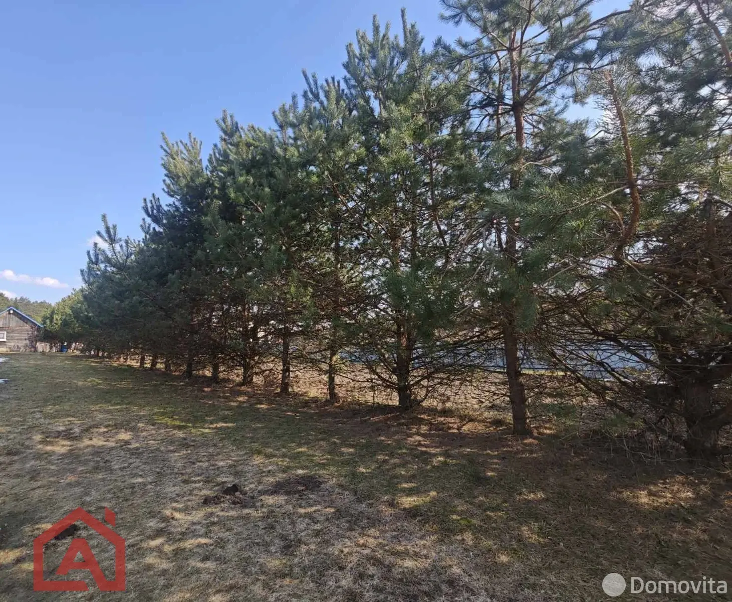 Купить земельный участок, 25 соток, Мочаны, Минская область, 95000USD, код 571531 - фото 22