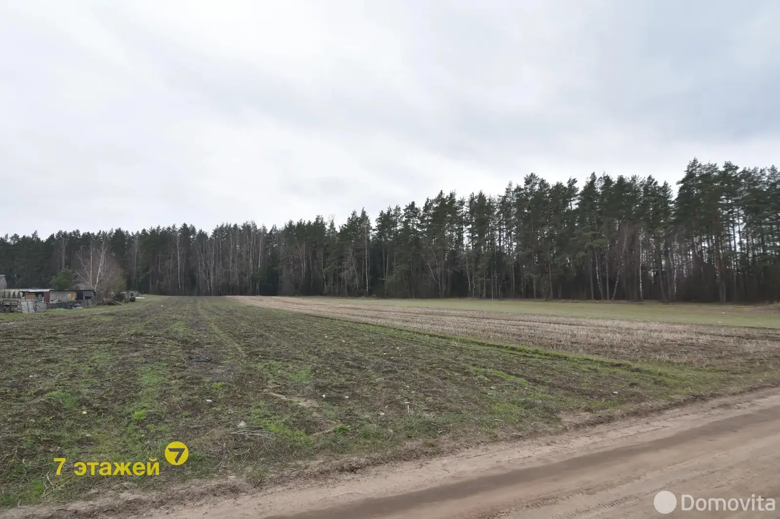 участок, Пекалин, ул. Колхозная 