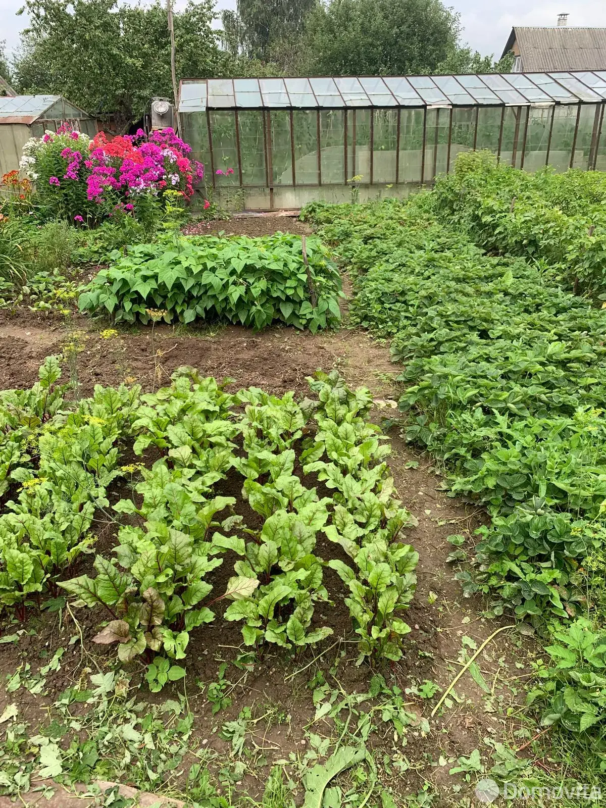 дача, СЯБРЫ-83, 