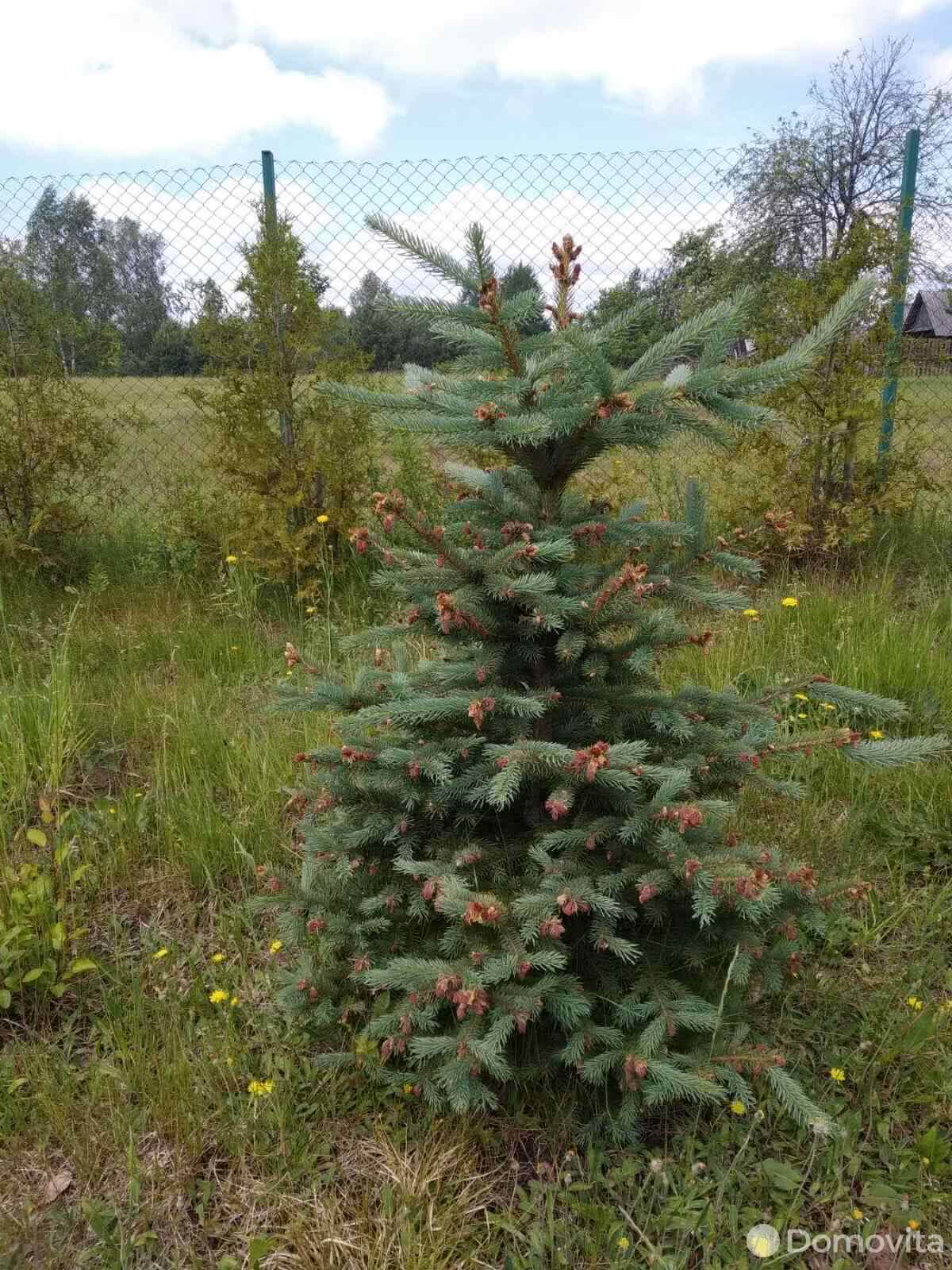 купить дом, Аношки, 