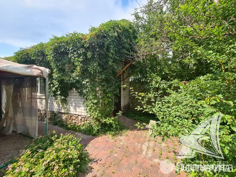 Купить 2-этажную дачу в Ромашка-плюс Брестская область, 39900USD, код 166287 - фото 26