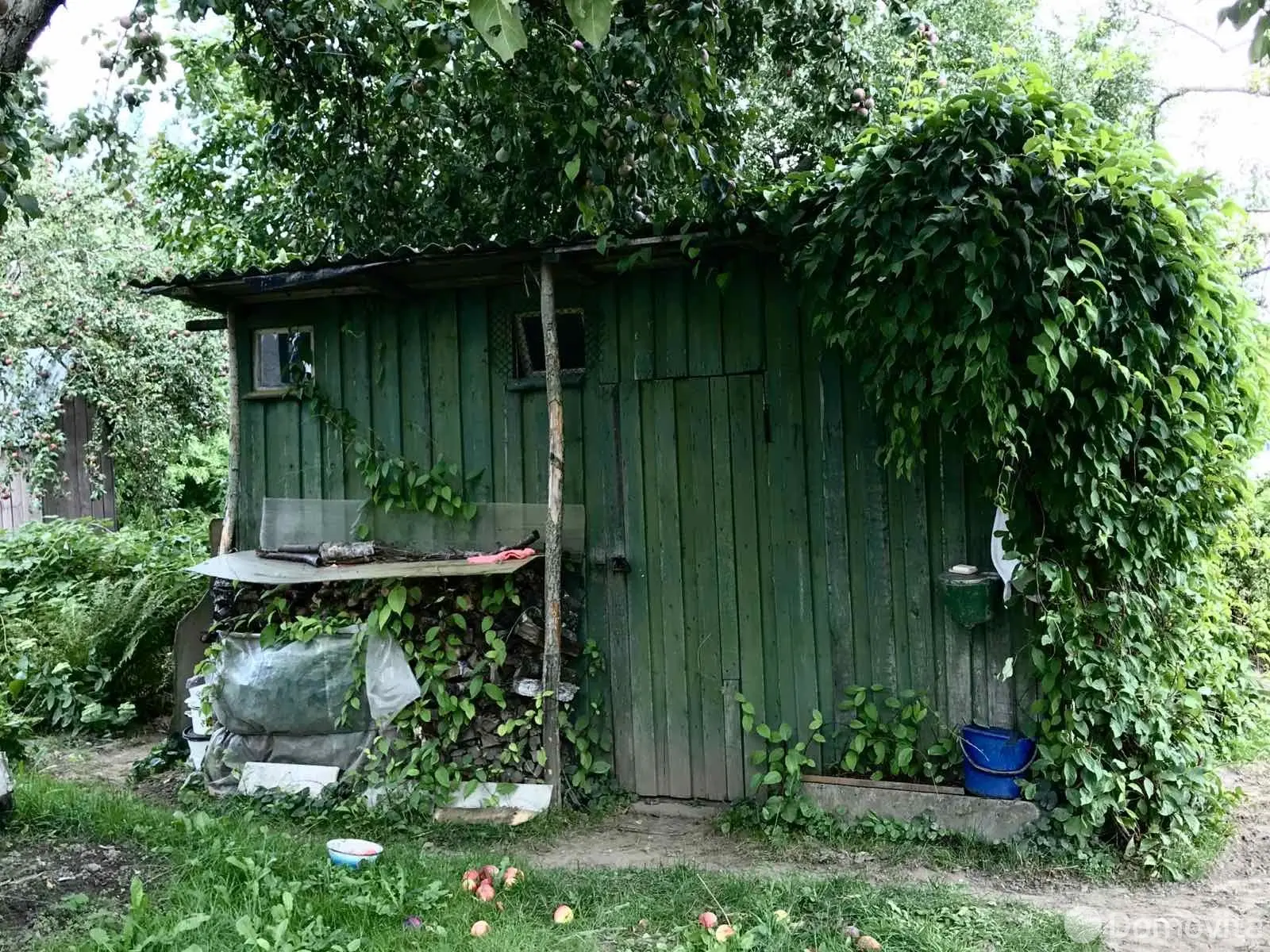 дача, Петришки, - лучшее предложение