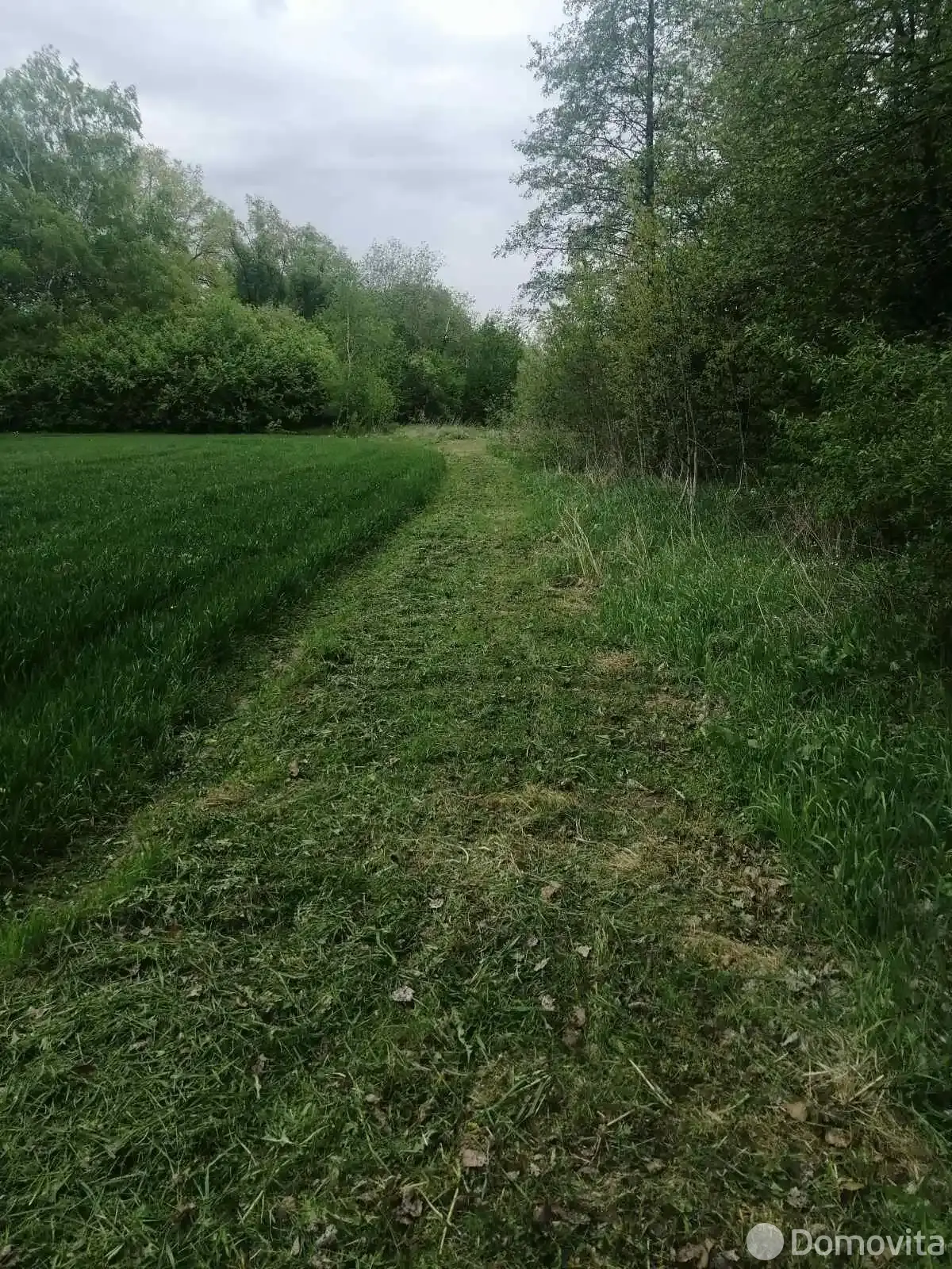 участок, Придыбайлы,