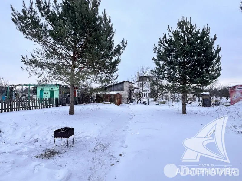 дача, Брест, 
