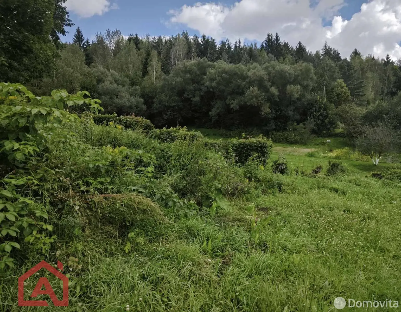 Купить земельный участок, 24.92 соток, Мончаки, Минская область, 54990USD, код 570913 - фото 17