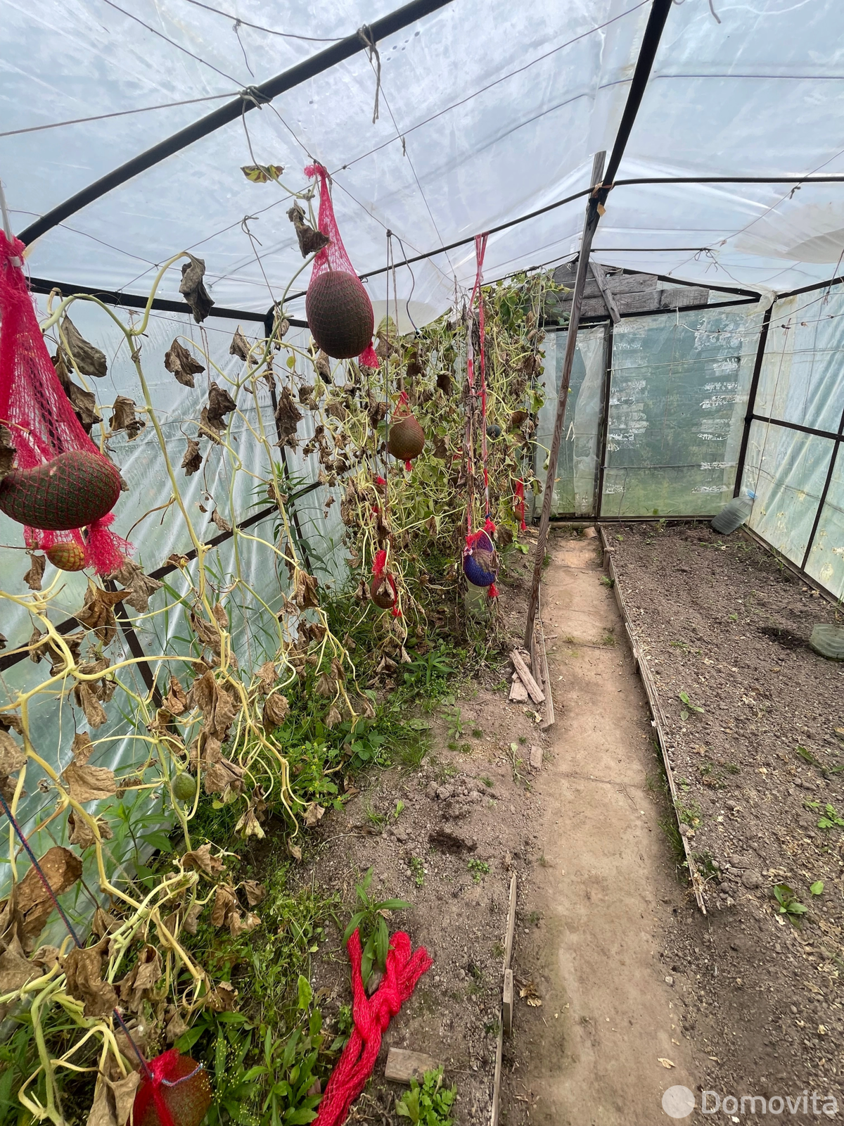 Продажа 1-этажной дачи в Колосок Минская область, 17000USD, код 184050 - фото 11