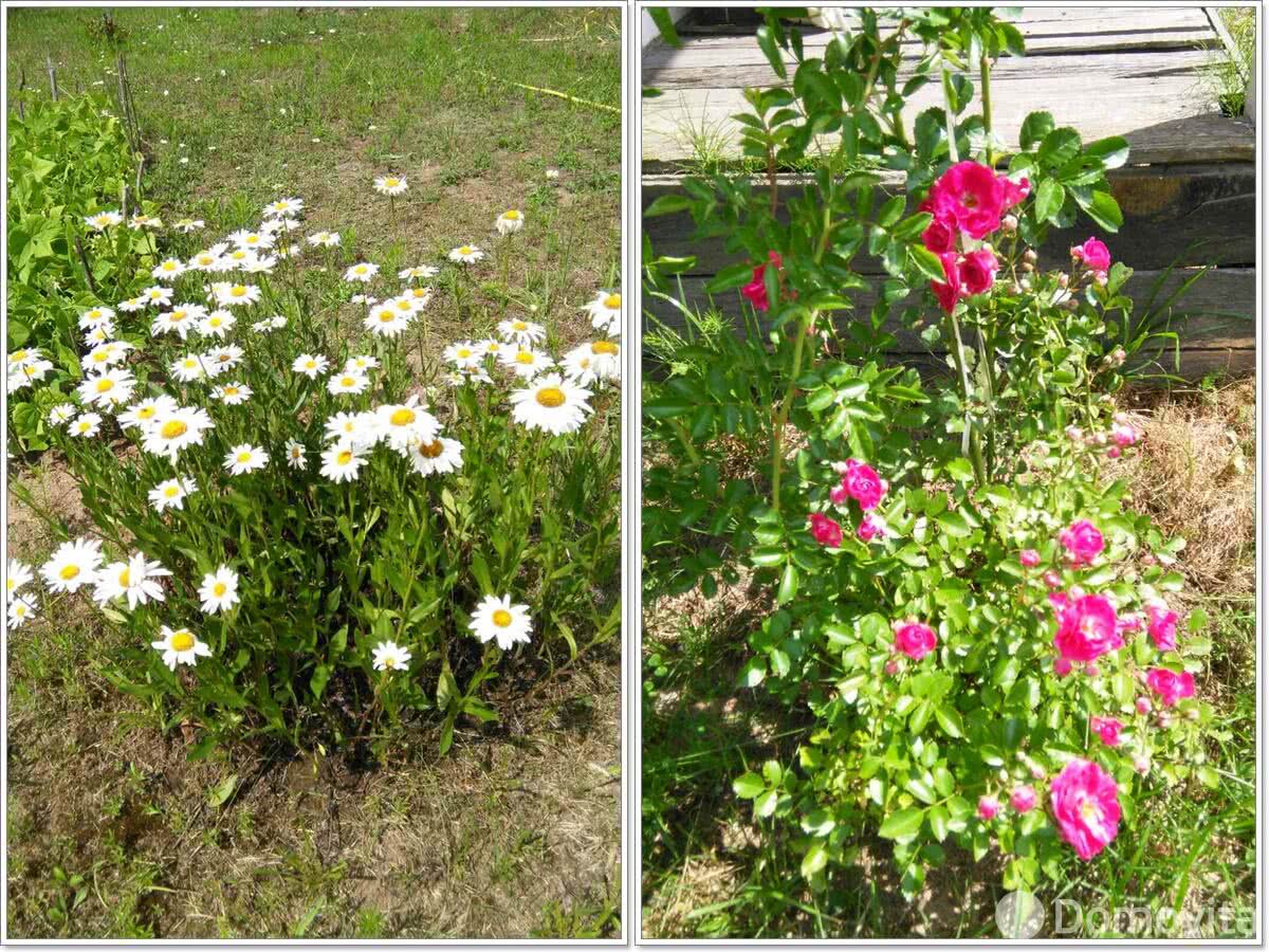 Купить 2-этажную дачу в Чирвоном Береге Минская область, 9700USD, код 167436 - фото 19