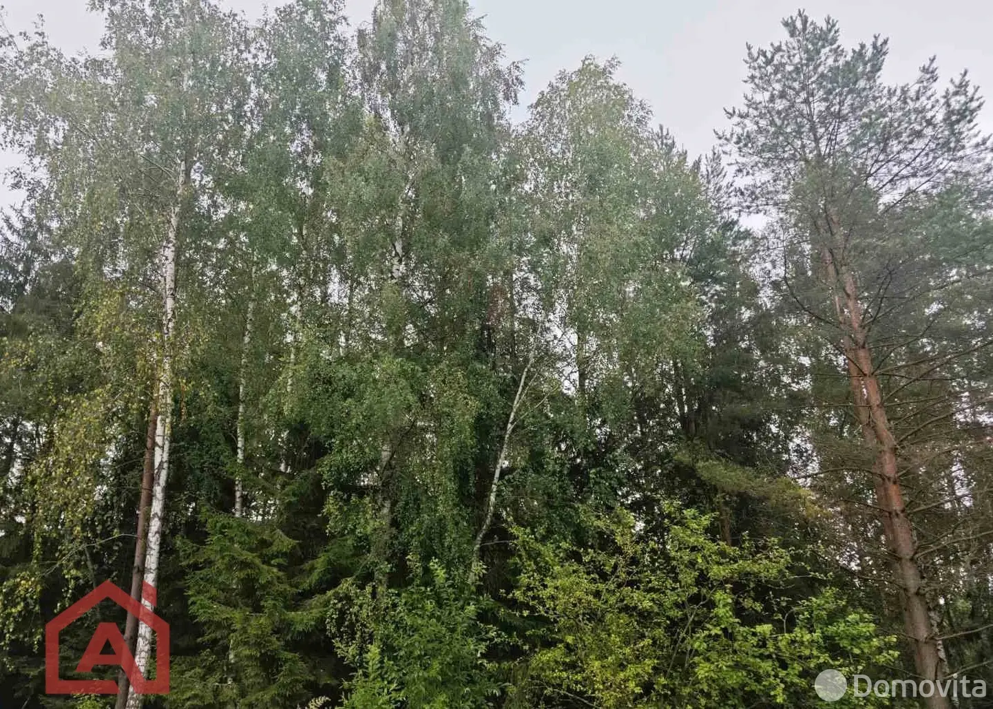 Стоимость продажи участка, Мончаки, ул. Лесная