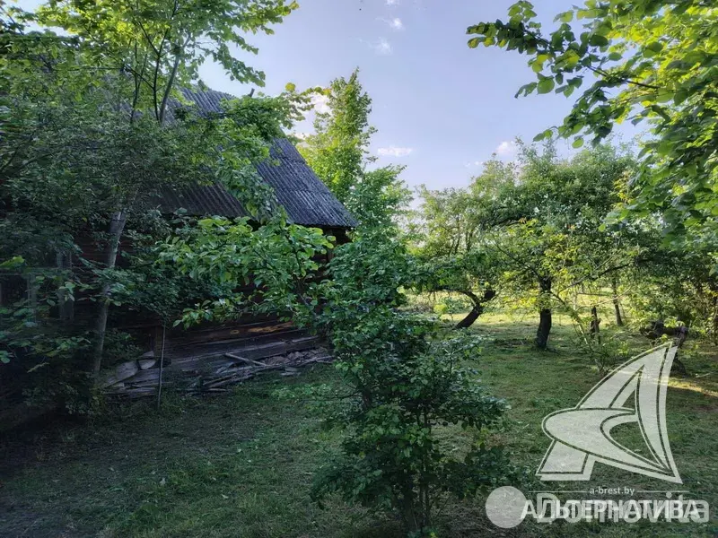 дом, Чемери 1,