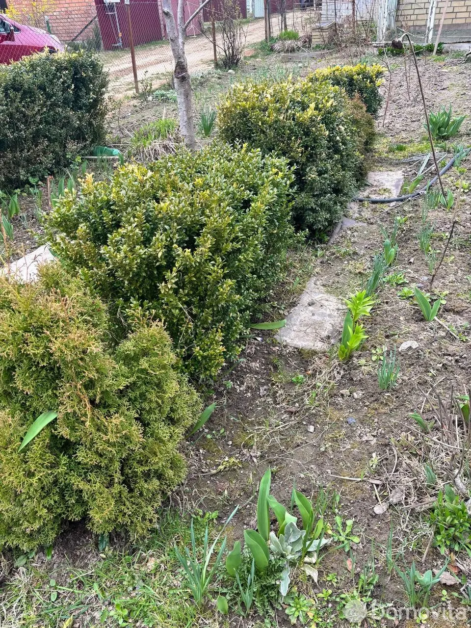 Продажа 2-этажной дачи в Семушки Минская область, 32500USD, код 185544 - фото 24