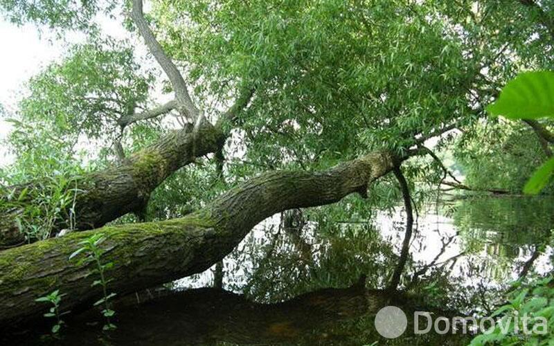 Купить помещение под сферу услуг в Колоднице, ул. Центральная, д. 108 - фото 17