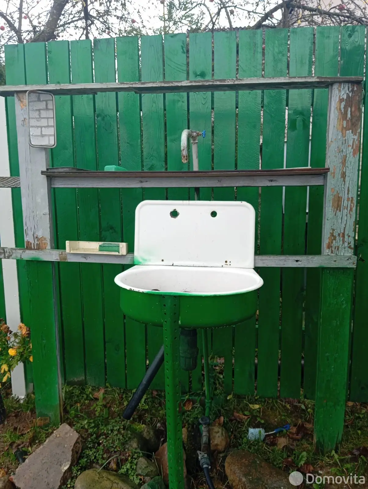 дача, Тюльпан, 