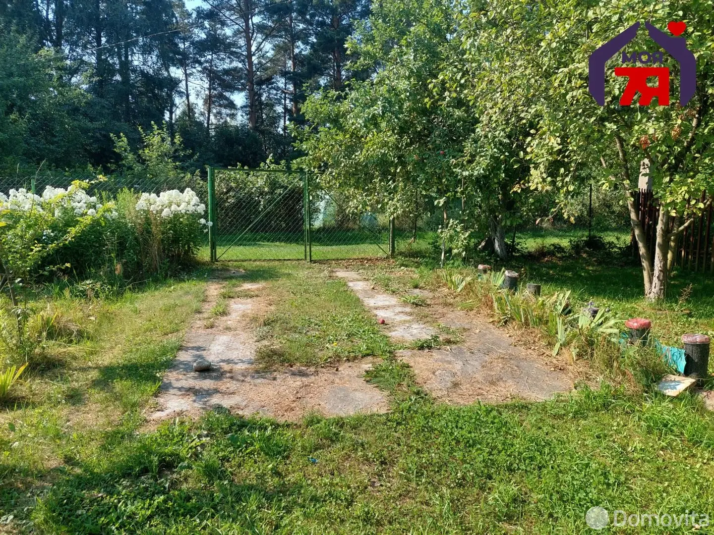 дача, Голубое небо, 